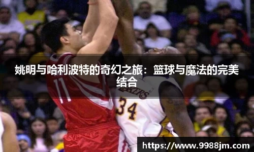姚明与哈利波特的奇幻之旅：篮球与魔法的完美结合
